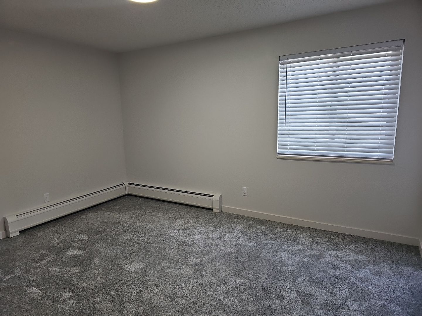 Gallery Image 19