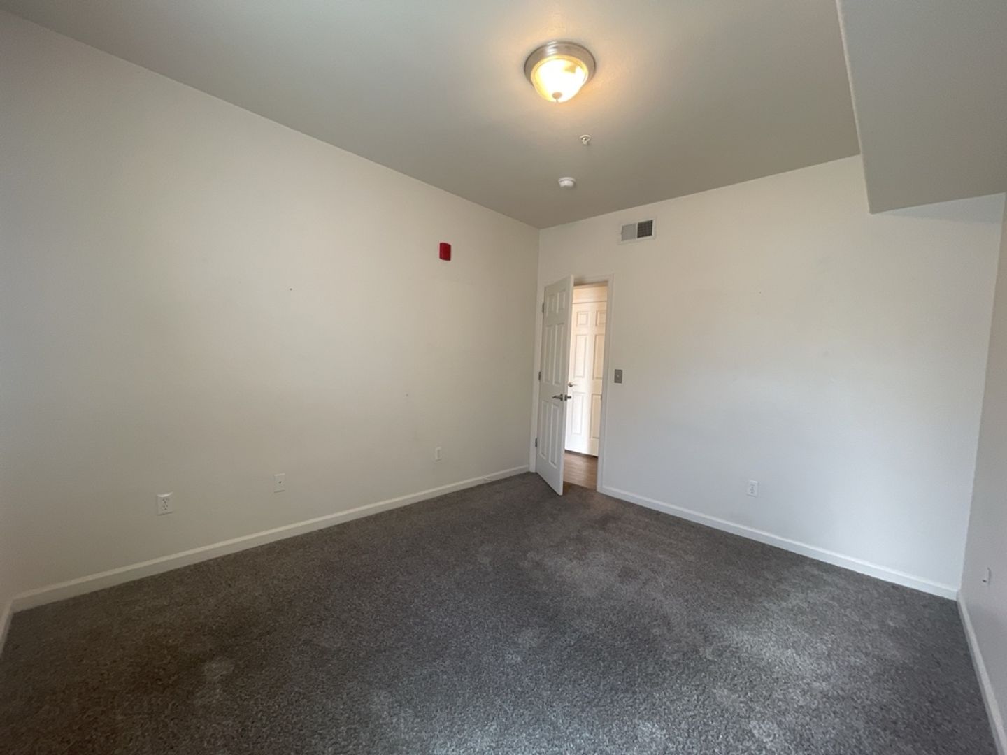 Gallery Image 19