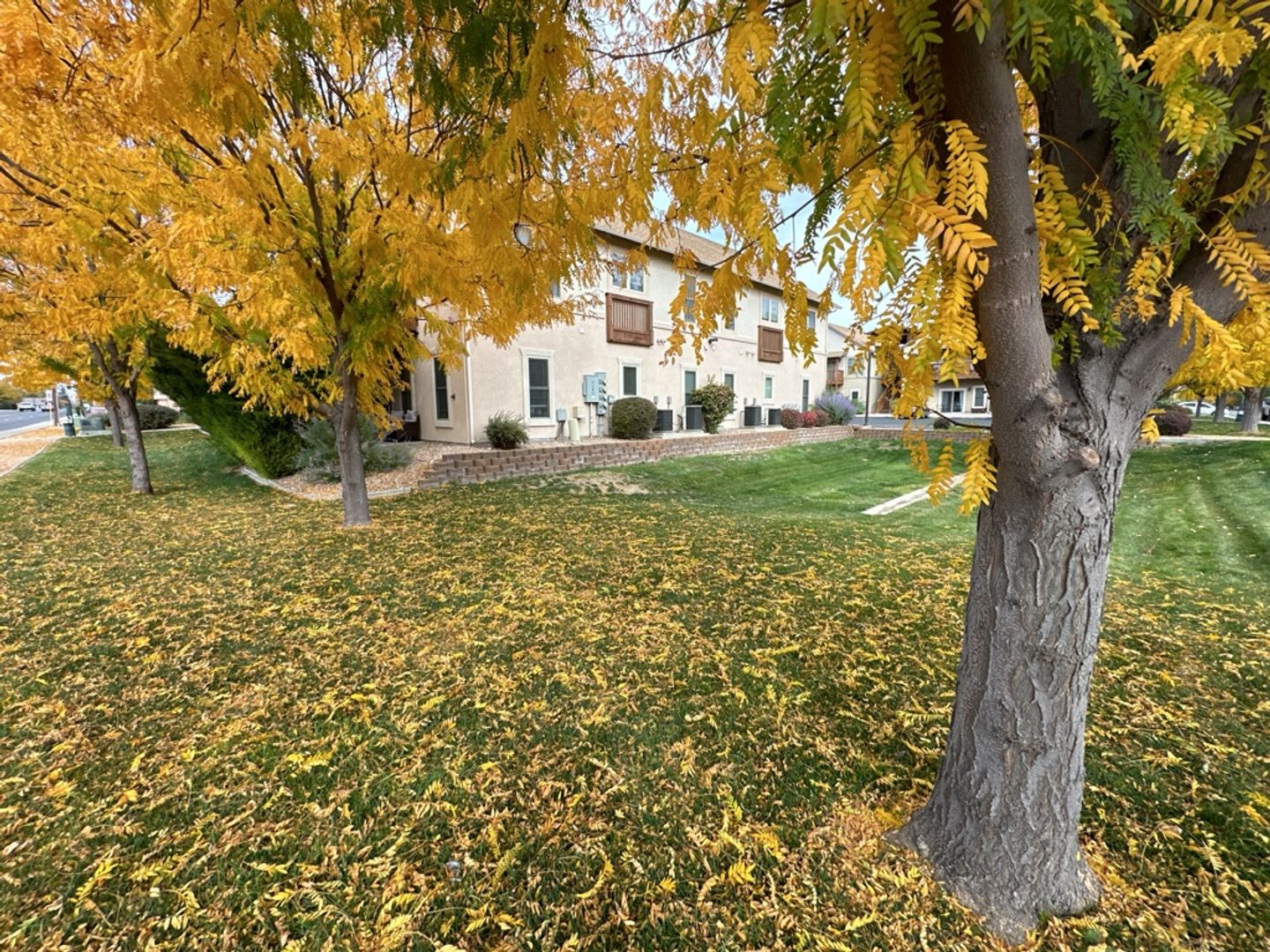 Gallery Image 33