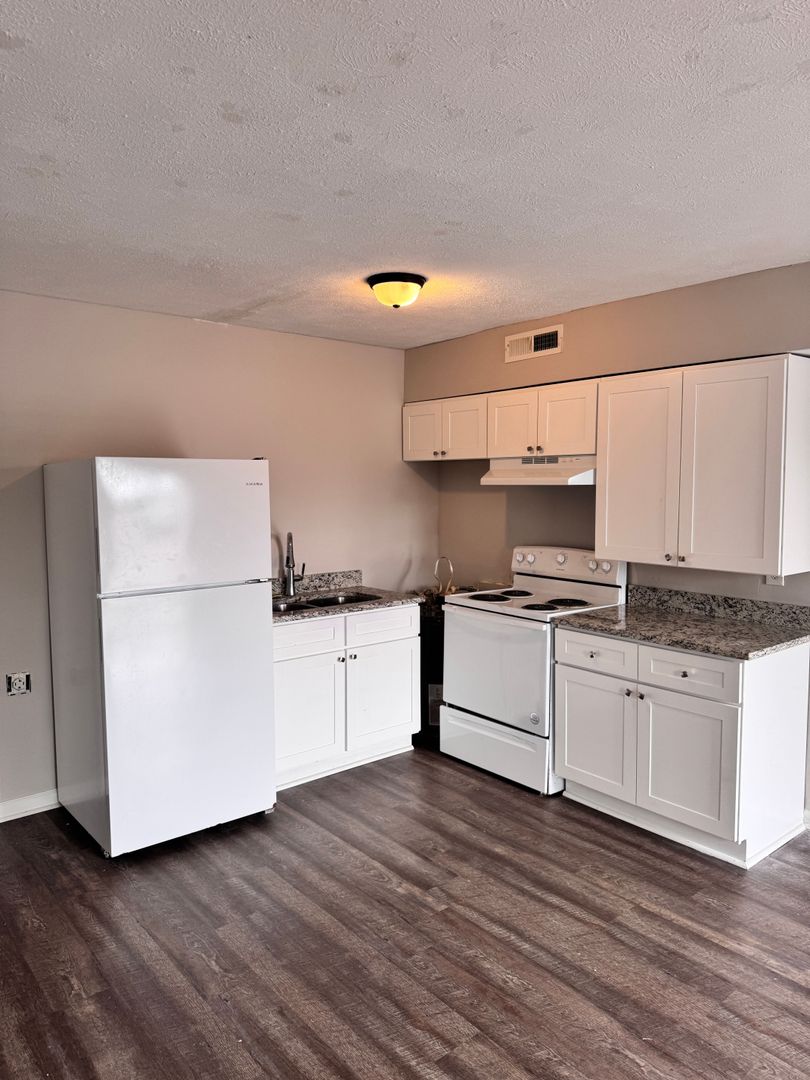 Thomson Apartment: 208 Watson Street