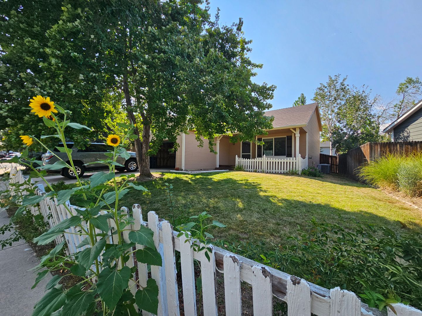 Louisville House: 351 S Jefferson Ave