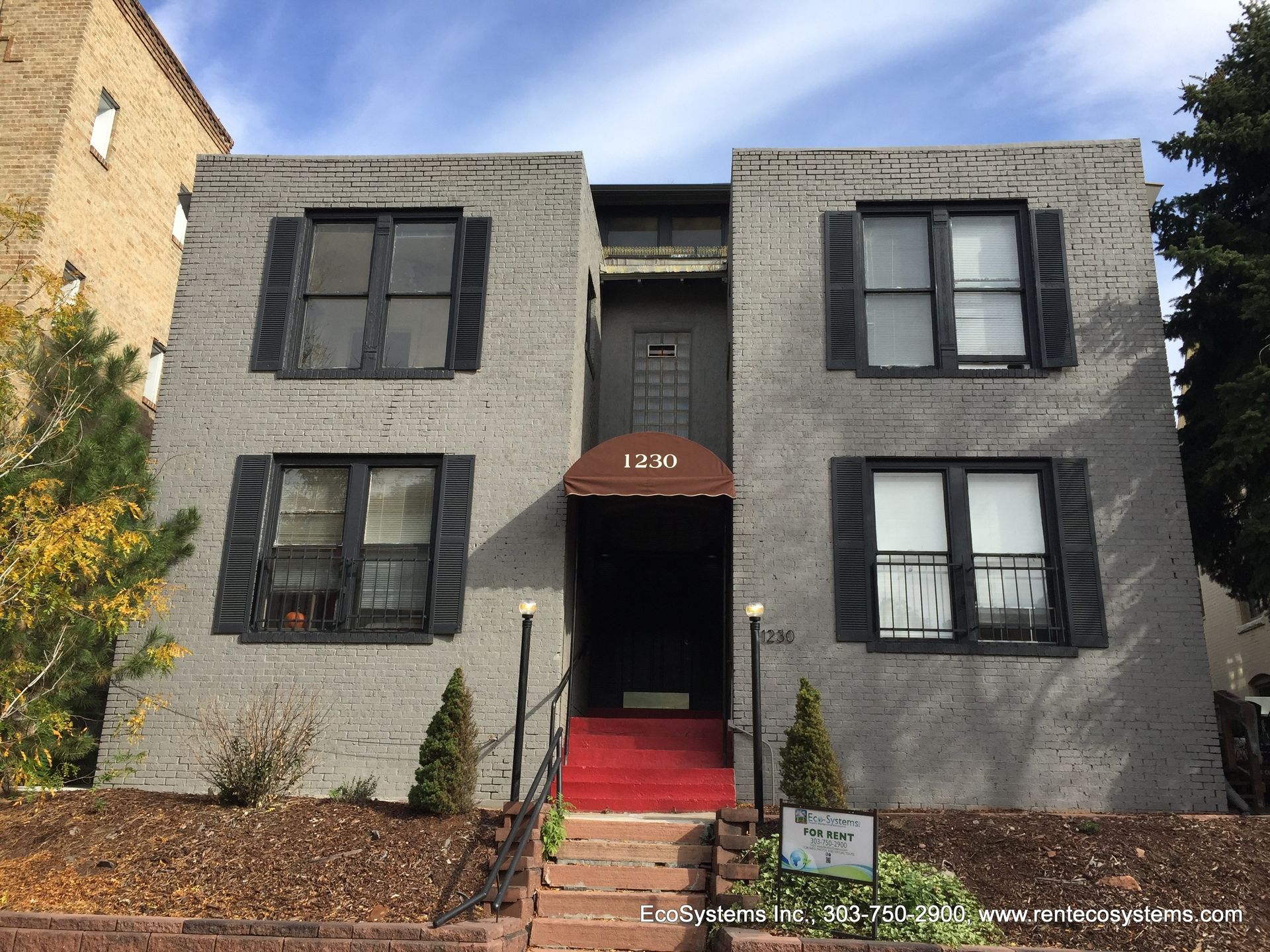 Denver Apartment: 1230 Washington St. - Apt 8