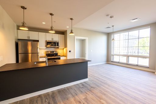 Peach and 5th West - Unit 205 – photo 1