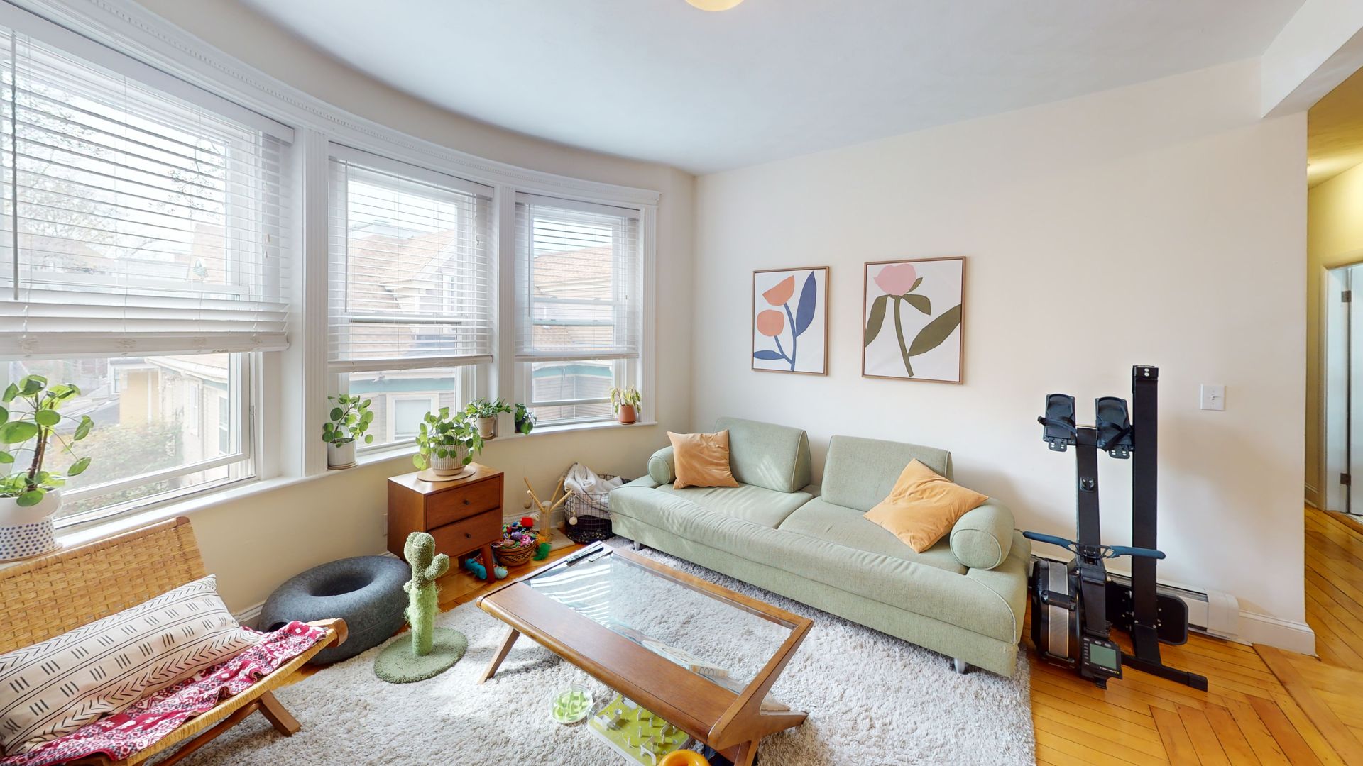 Brookline Apartment: 674 Washington Street