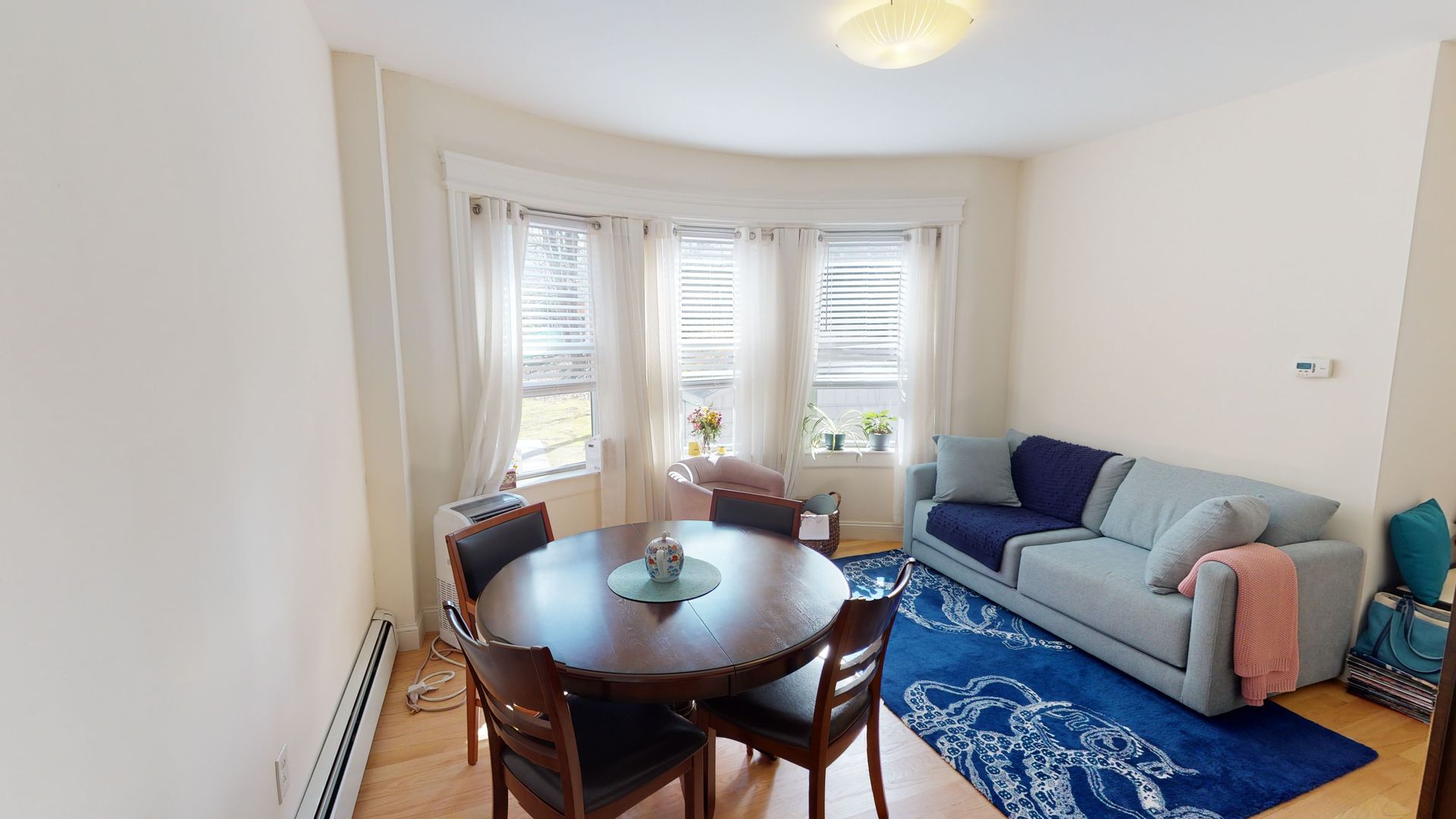 Brookline Apartment: 672 Washington Street