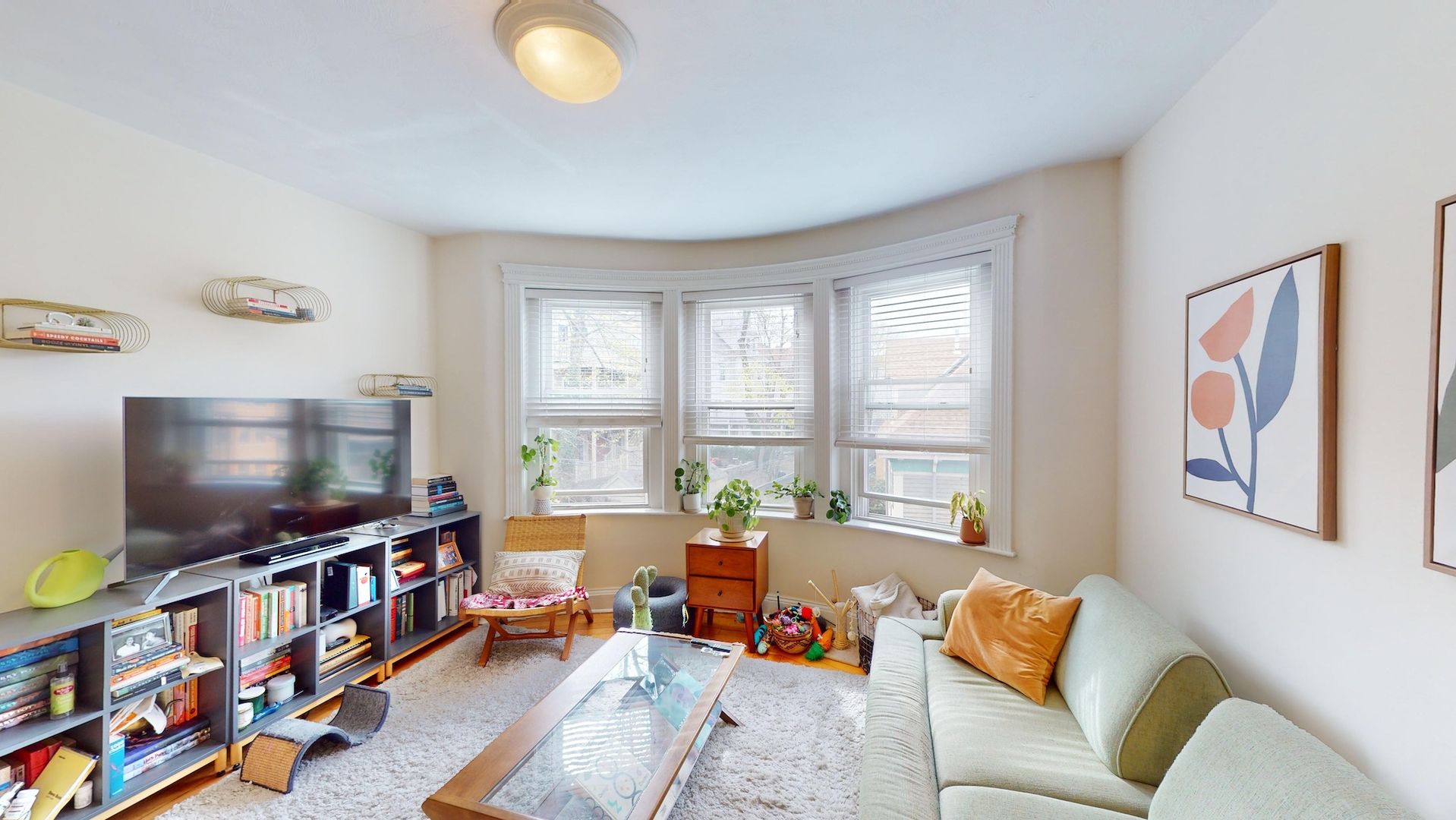 Brookline Apartment: 672 Washington Street