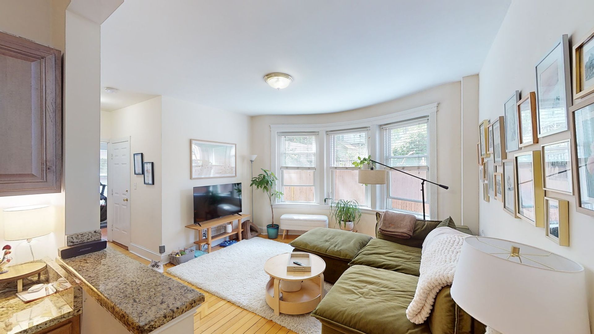 Brookline Apartment: 674 Washington Street