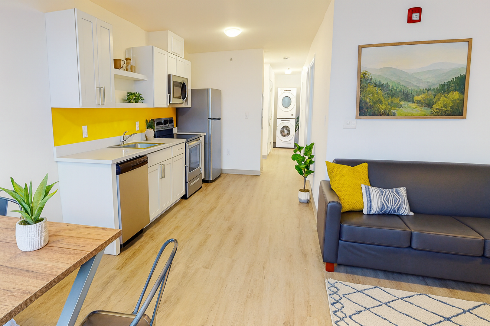 Ithaca Apartment: 815 S Aurora