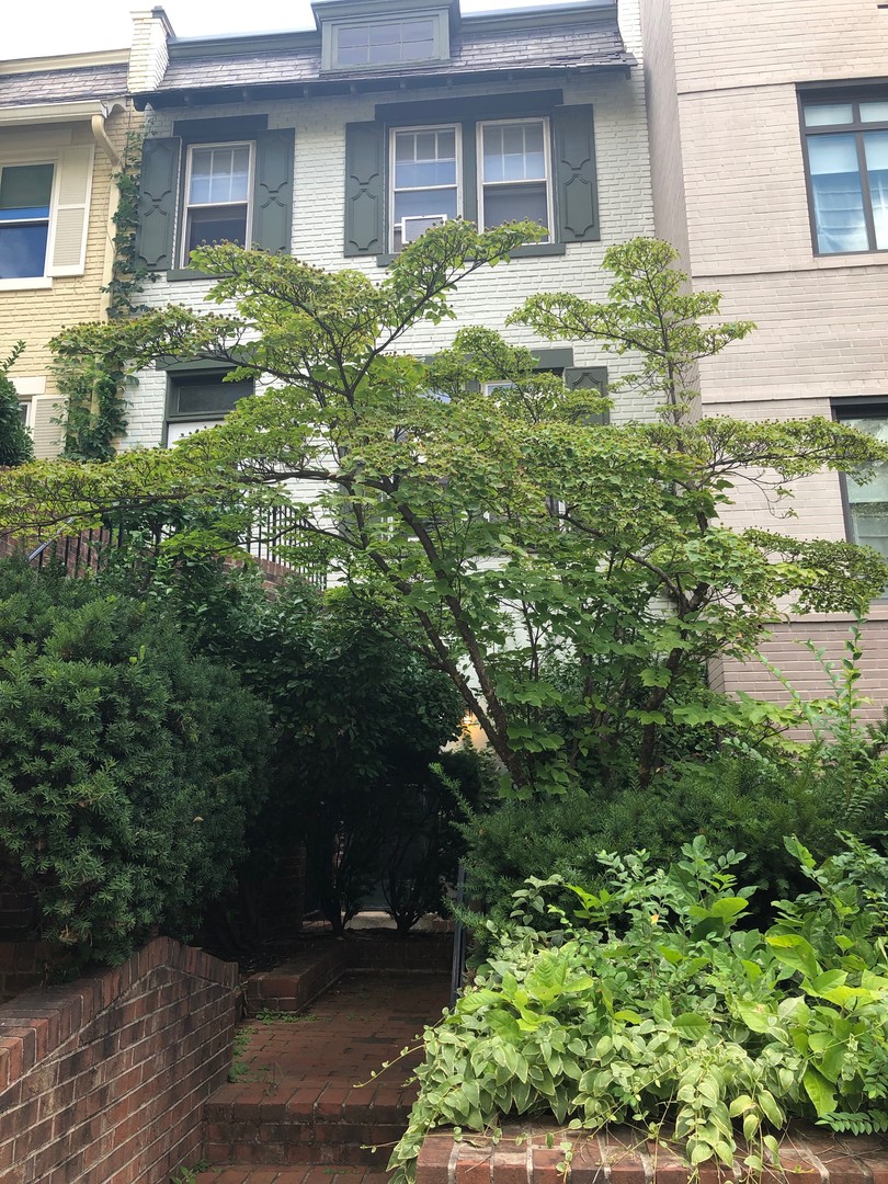 Washington Apartment: 232 2nd Street SE