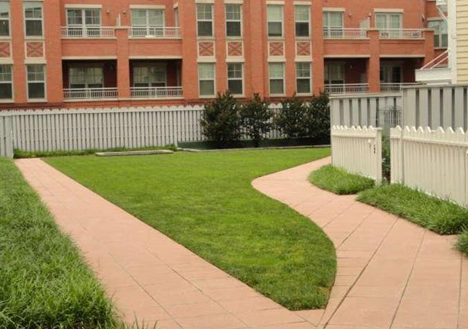 Washington Condo: 343 Cedar Street NW