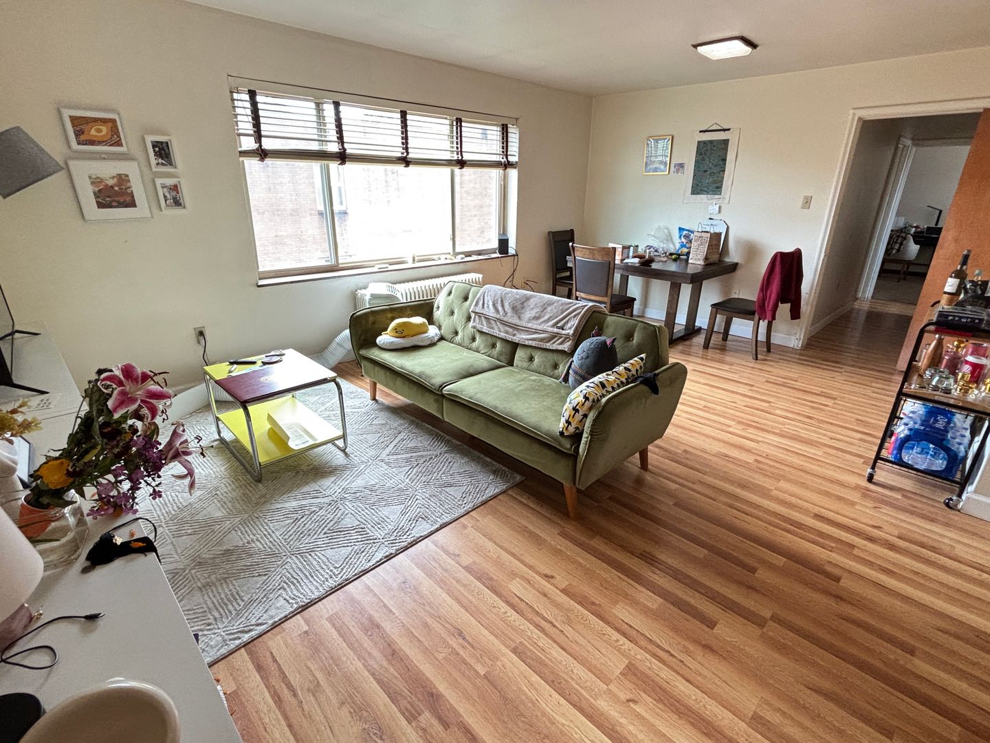 Pittsburgh Apartment: 5600 Fifth Avenue