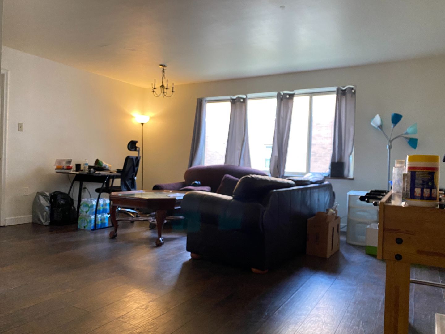 Pittsburgh Apartment: 5600 Fifth Avenue