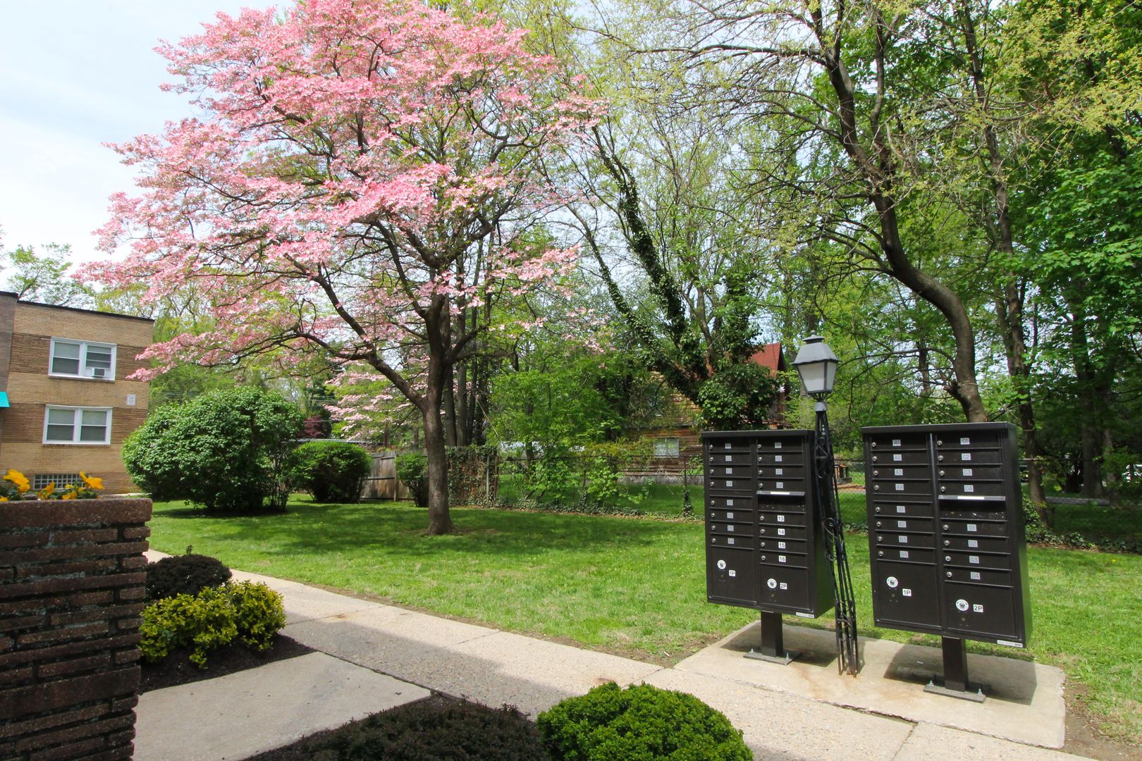 Philadelphia Apartment: 6628 N. 8th Street