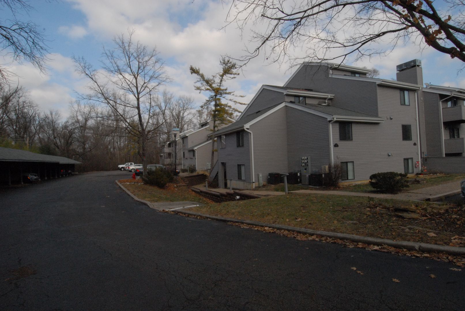 Ballwin Townhome: 1321 Prospect Villand Ln. #D