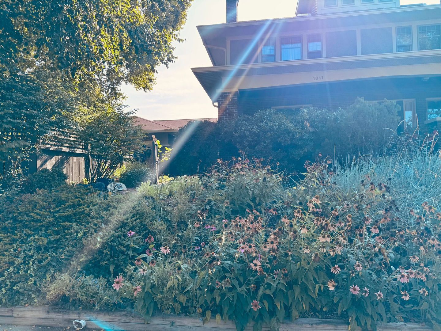 LAFAYETTE Multiplex: 1011 S 9th