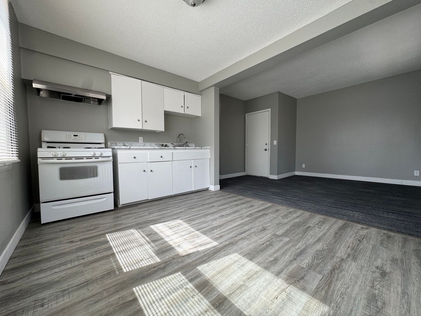 Saint Paul Apartment: 1727 Reaney Ave E