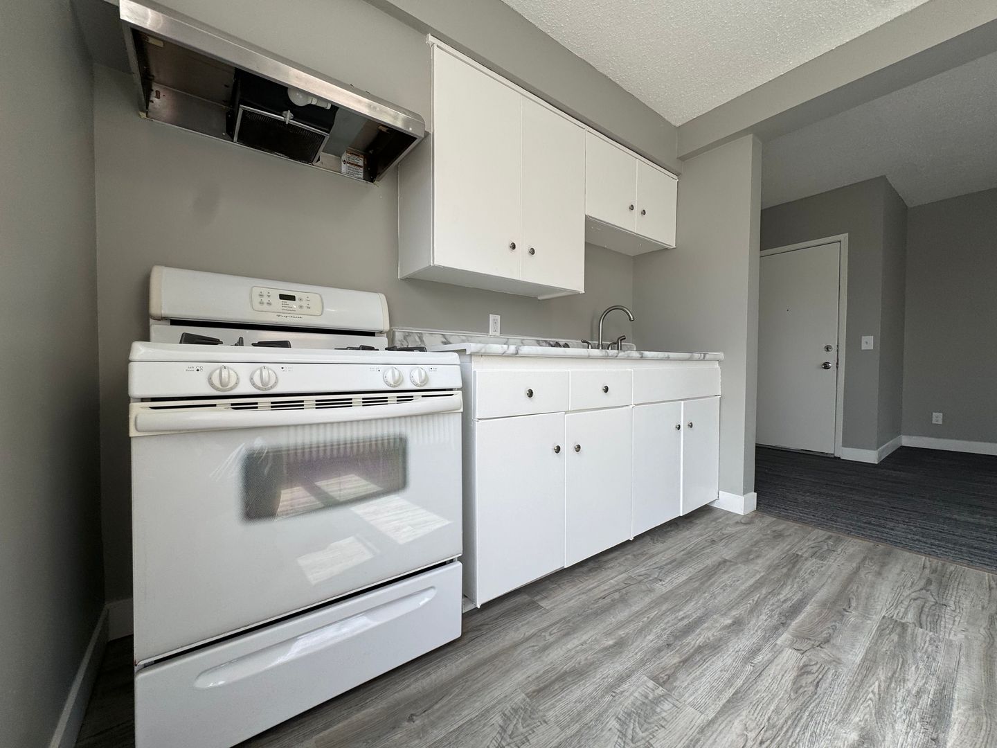 St. Paul Apartment: 1727 Reaney Ave E