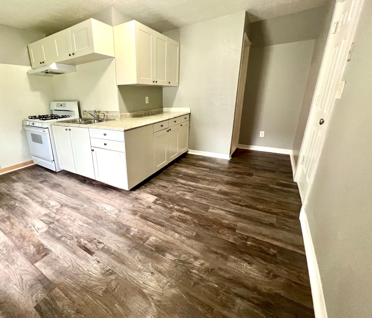 Minneapolis Apartment: 1314 Morgan Avenue N