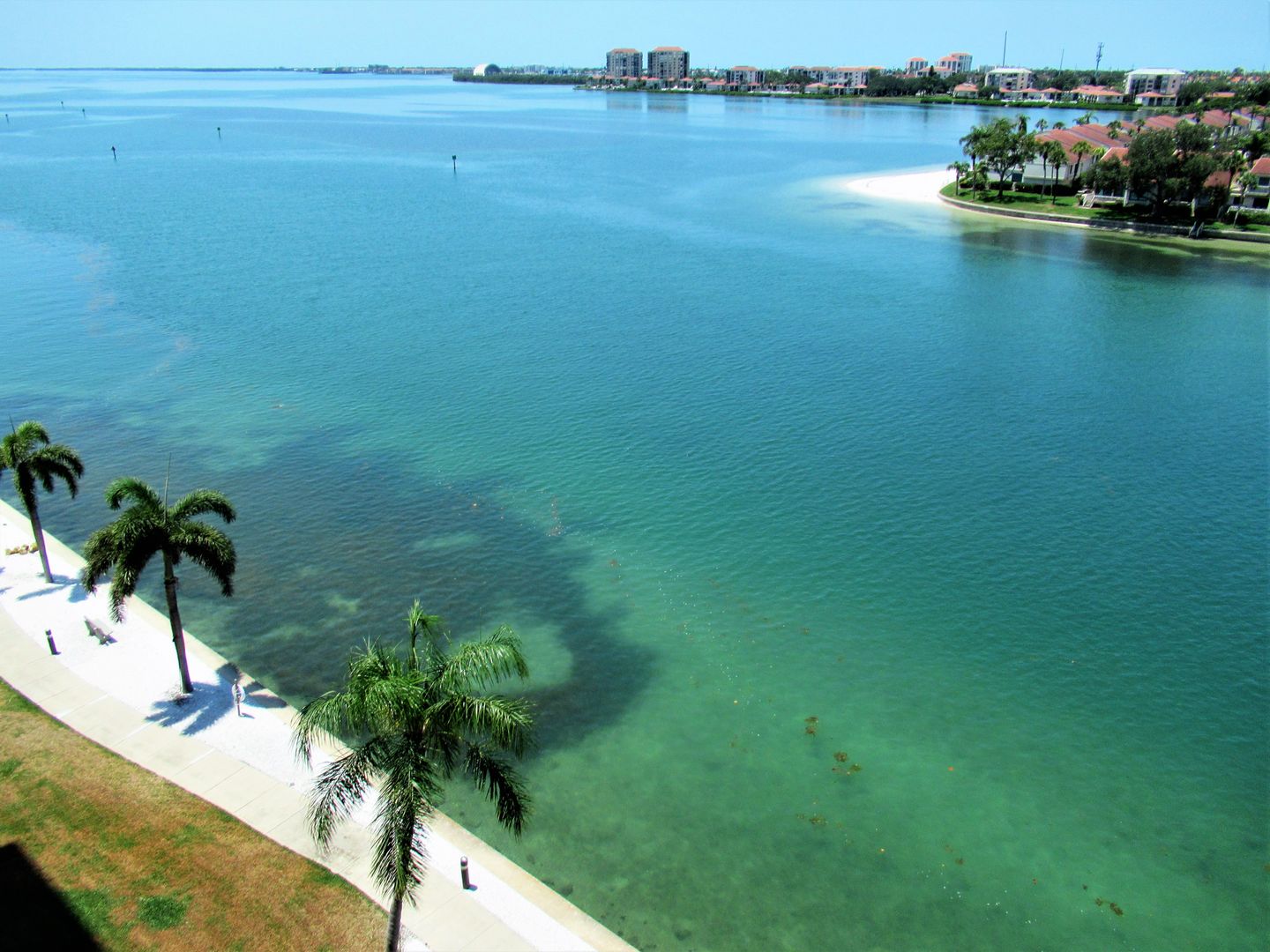 St. Petersburg House: 5220 Brittany Dr. S Apt. 808