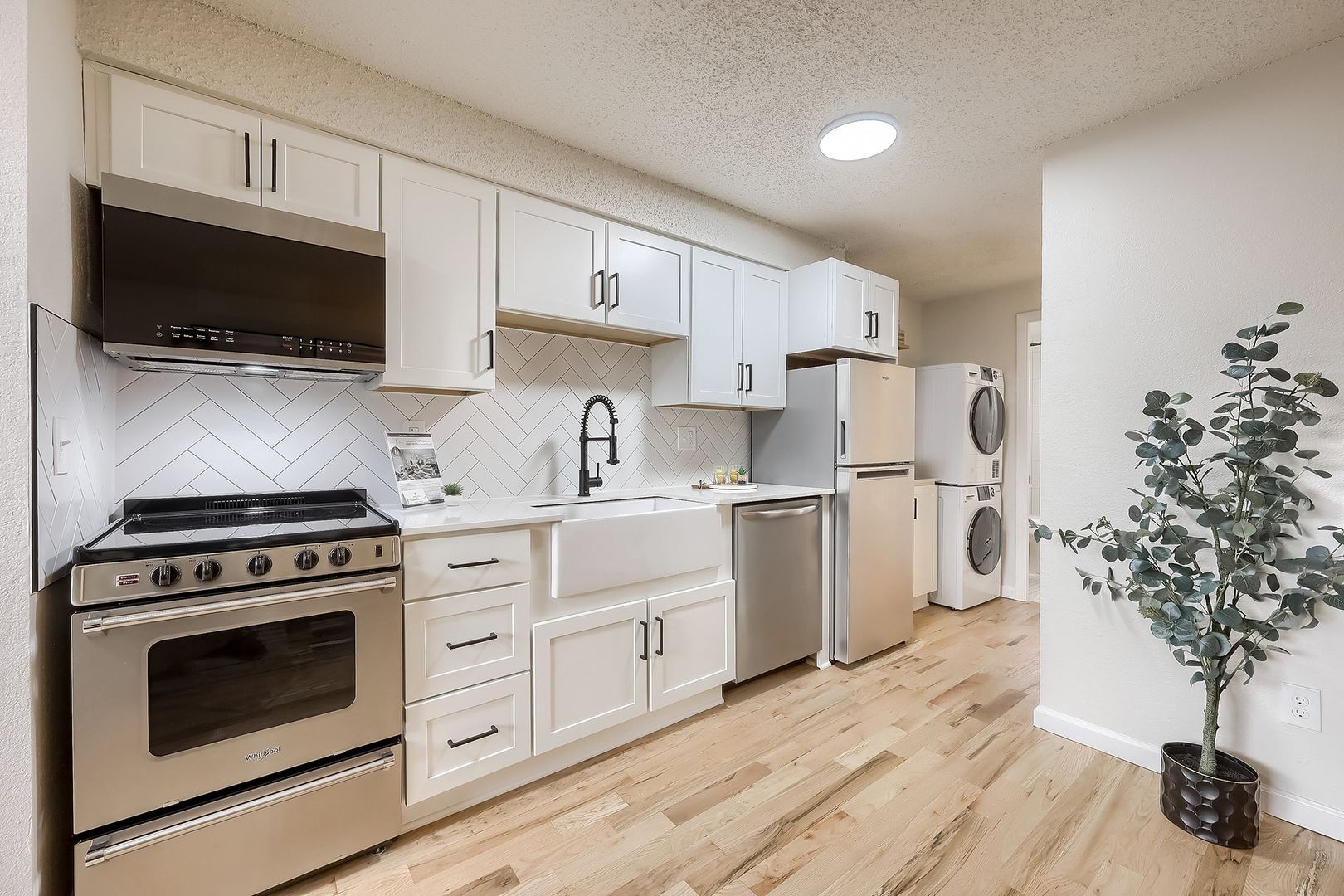 Denver Apartment: 335 North Sherman St