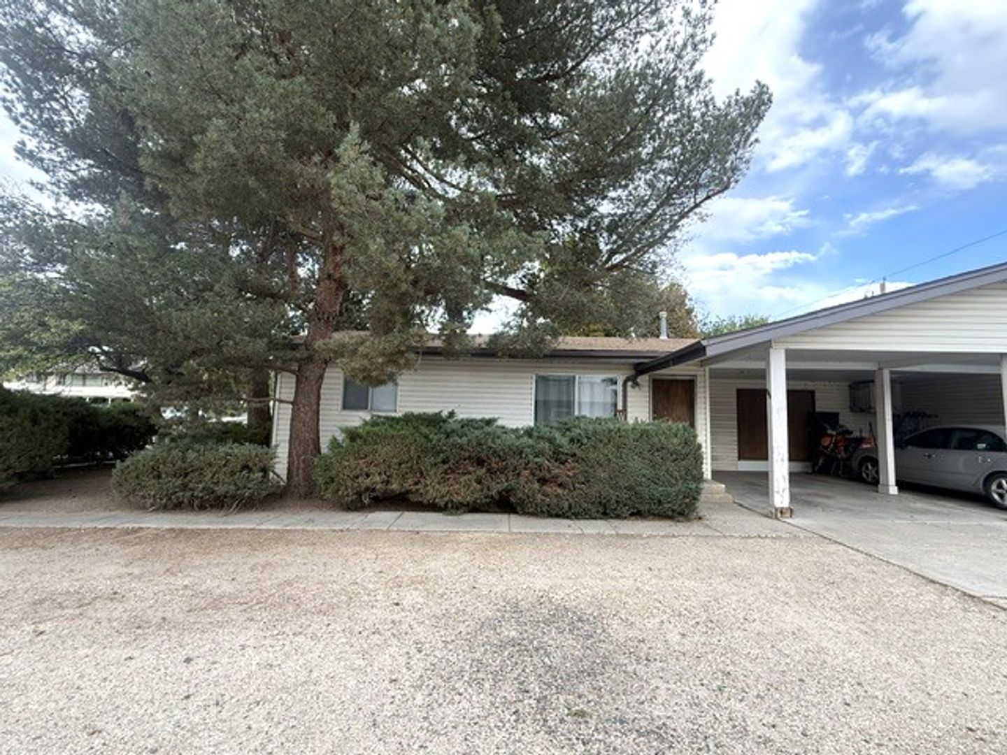 Elko Apartment: Fir Street
