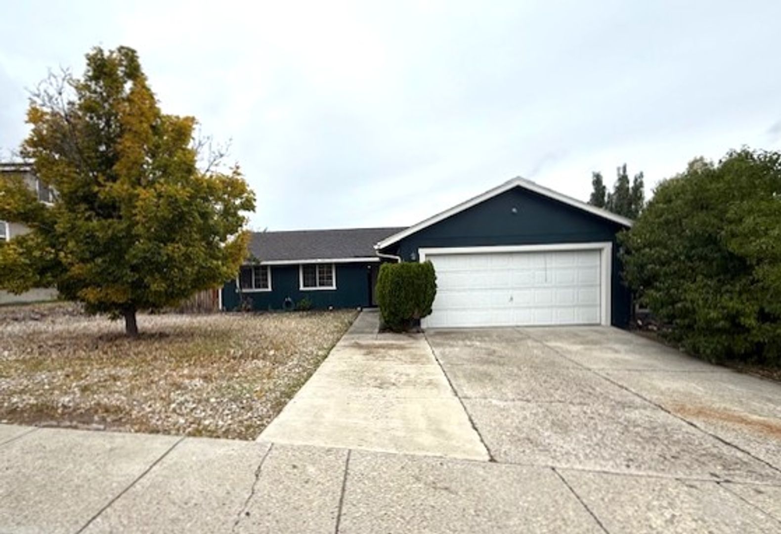 Elko House: 1538 Stitzel Drive