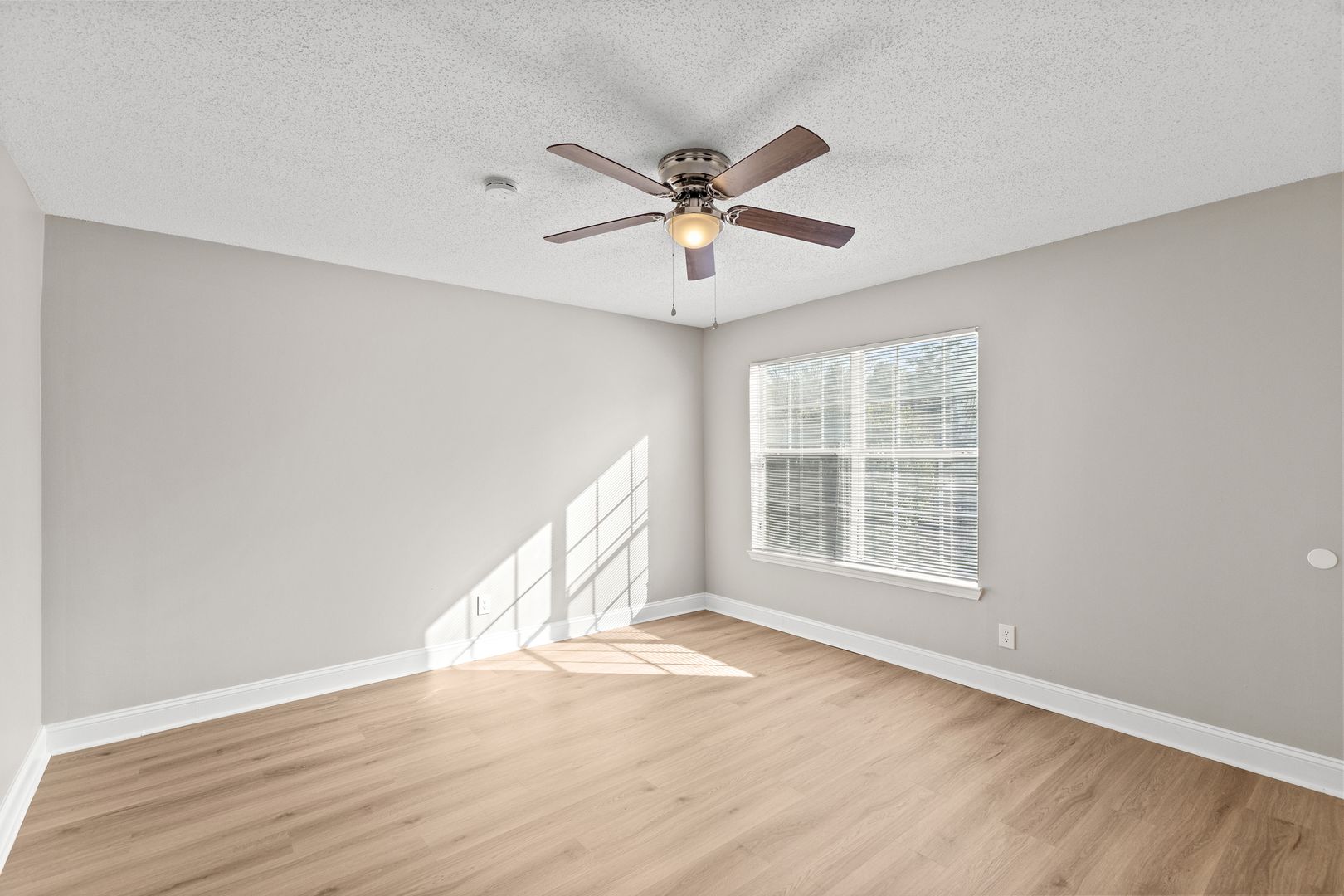 Addison Way 14 of 19