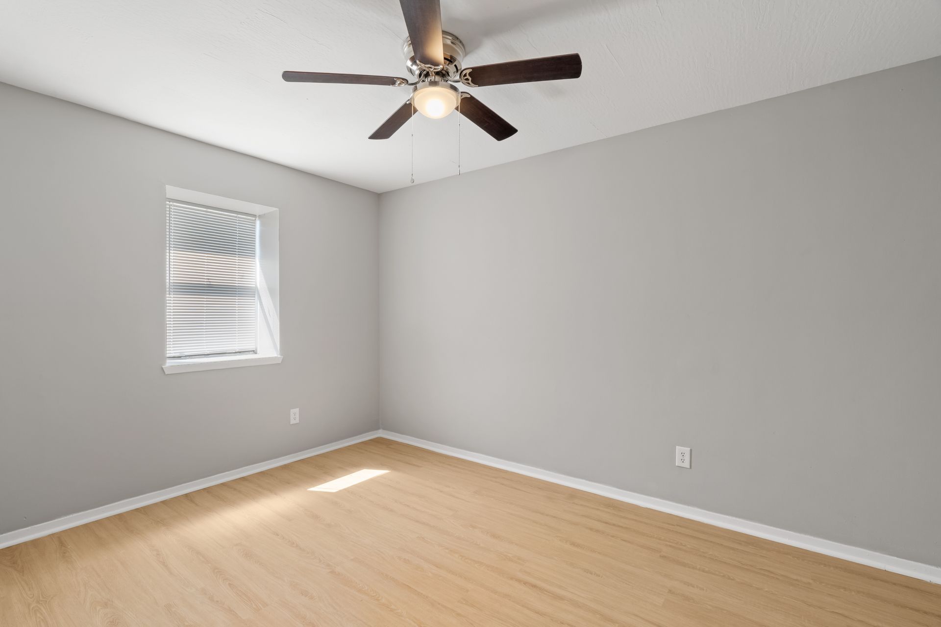 Cedarwood 8 of 12