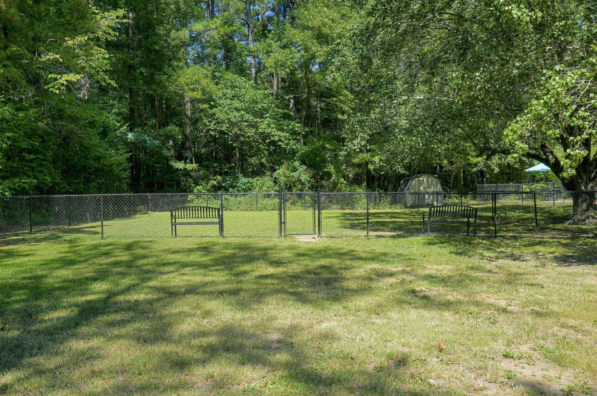 Dog park at Orleans Apartments
