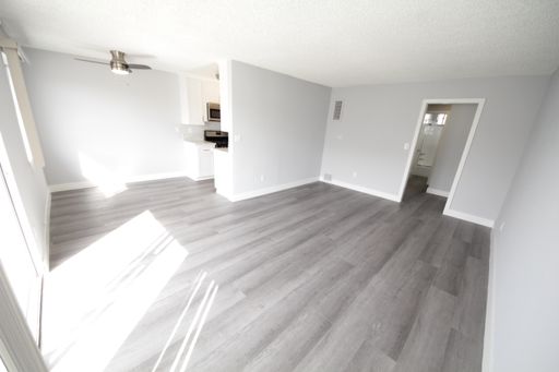 $1,500.00 Move-In Credit!! Renovated 1 x 1- Private Balcony - Pet Friendly – photo 1