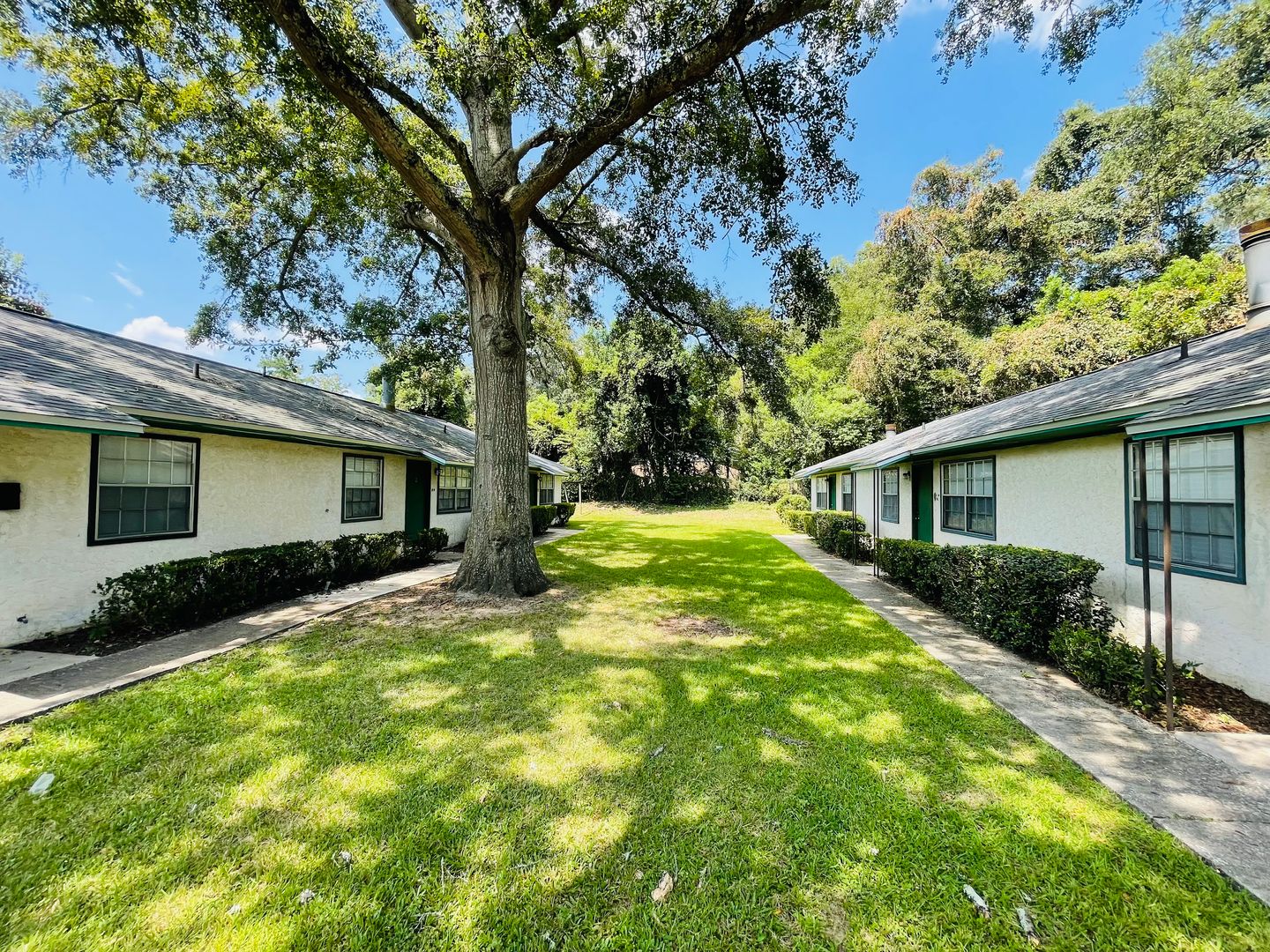 Tallahassee Apartment: 412 W. 4th Avenue