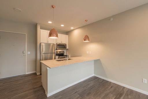 300lime - Amenity Packed Modern Apartments in Downtown Fargo! – photo 1