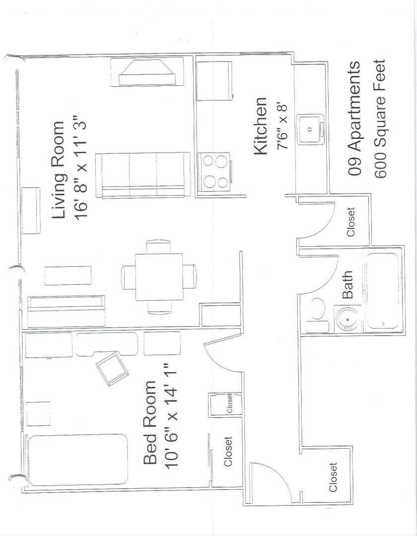 Duluth Apartment: 100 Elizabeth Street