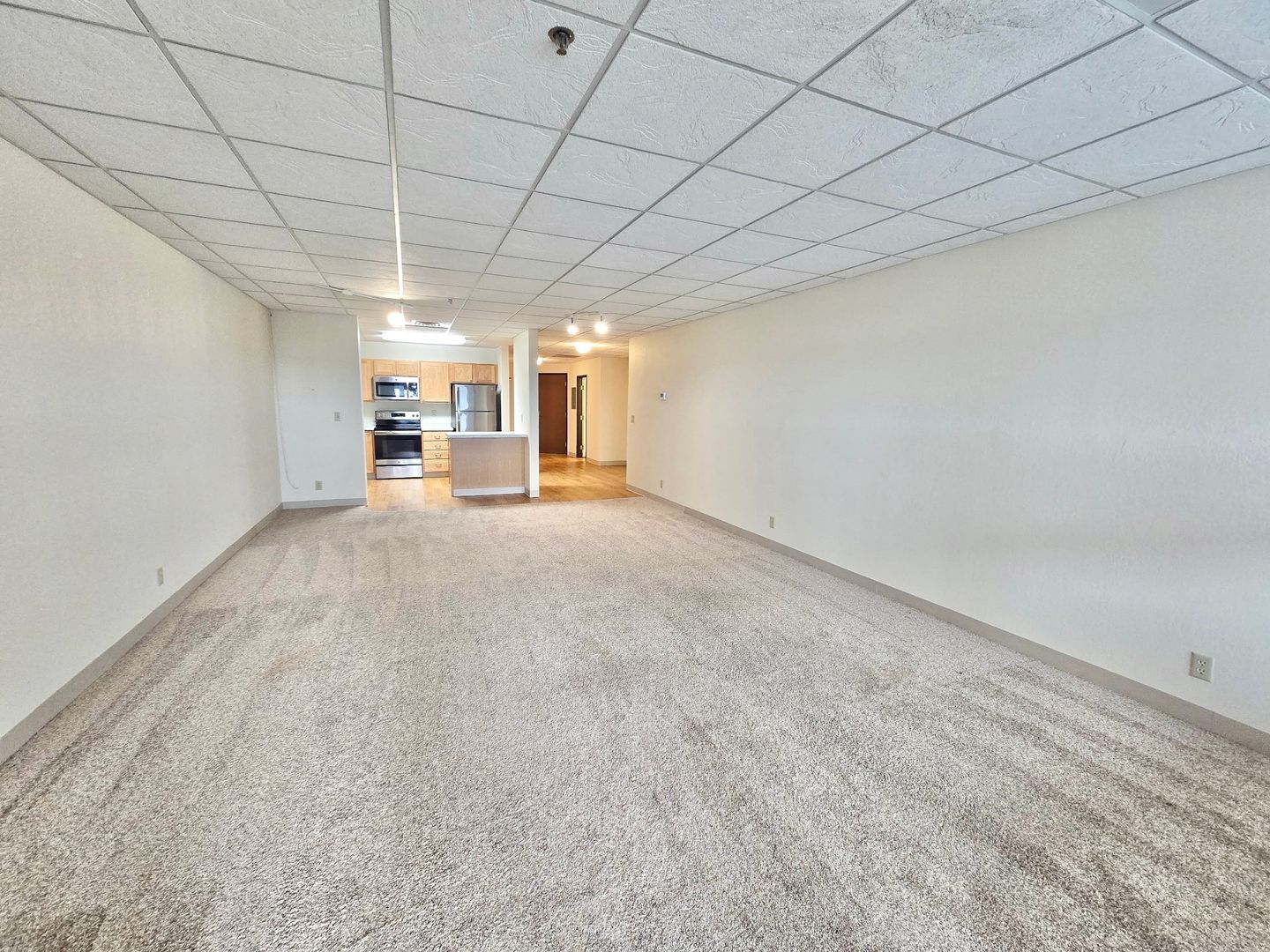Duluth Apartment: 300 West Michigan Street