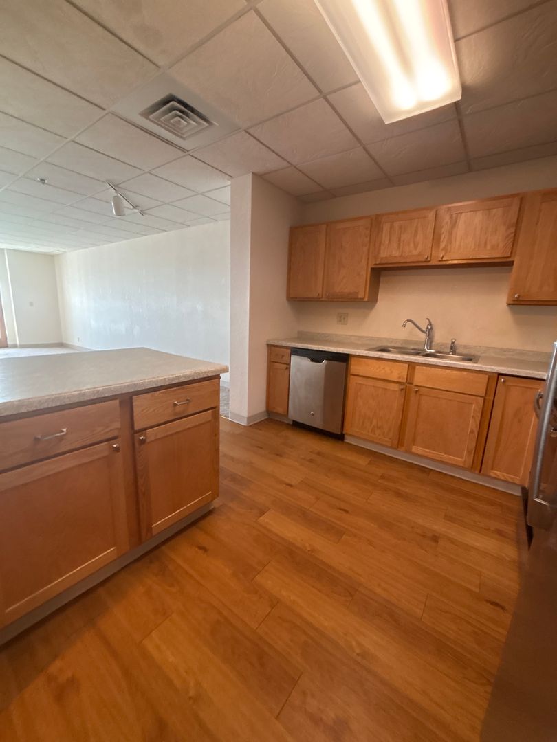 Duluth Apartment: 300 West Michigan Street