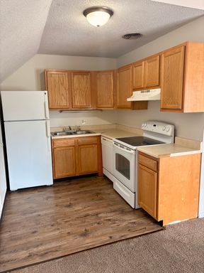 Large 1-Bedroom Apartment