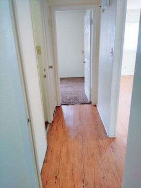 COMING AVAILABLE IN SEPTEMBER!!! Newly Renovated and Spacious 3 Bedroom Duplex!! – photo 1