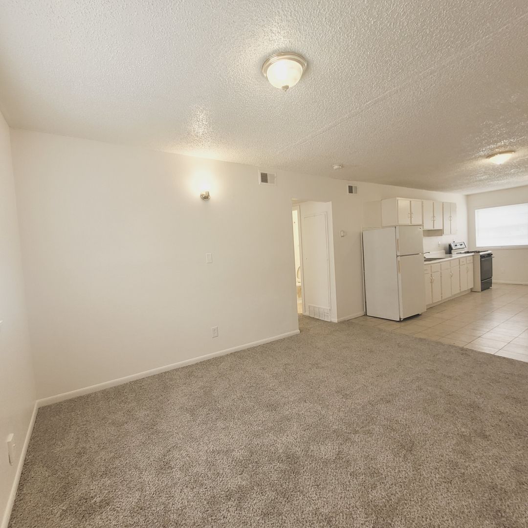 Topeka Apartment: 423 SE Winfield