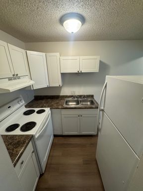 Updated 1-Bedroom Apartment! – photo 1