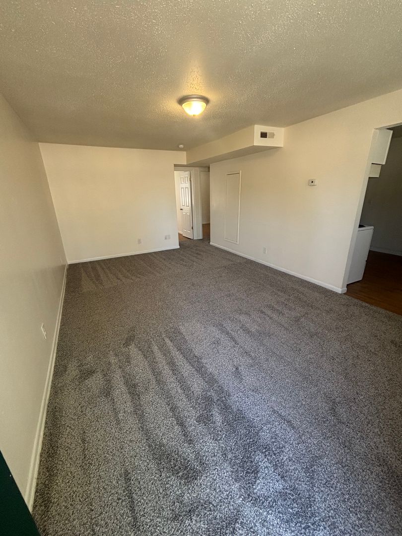 Topeka Apartment: 423 SE Winfield