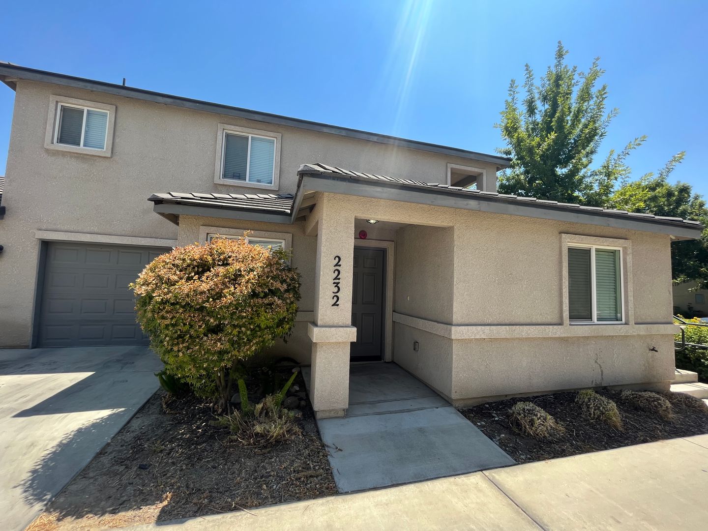 Visalia Apartment: 2232-38 West Lark Avenue