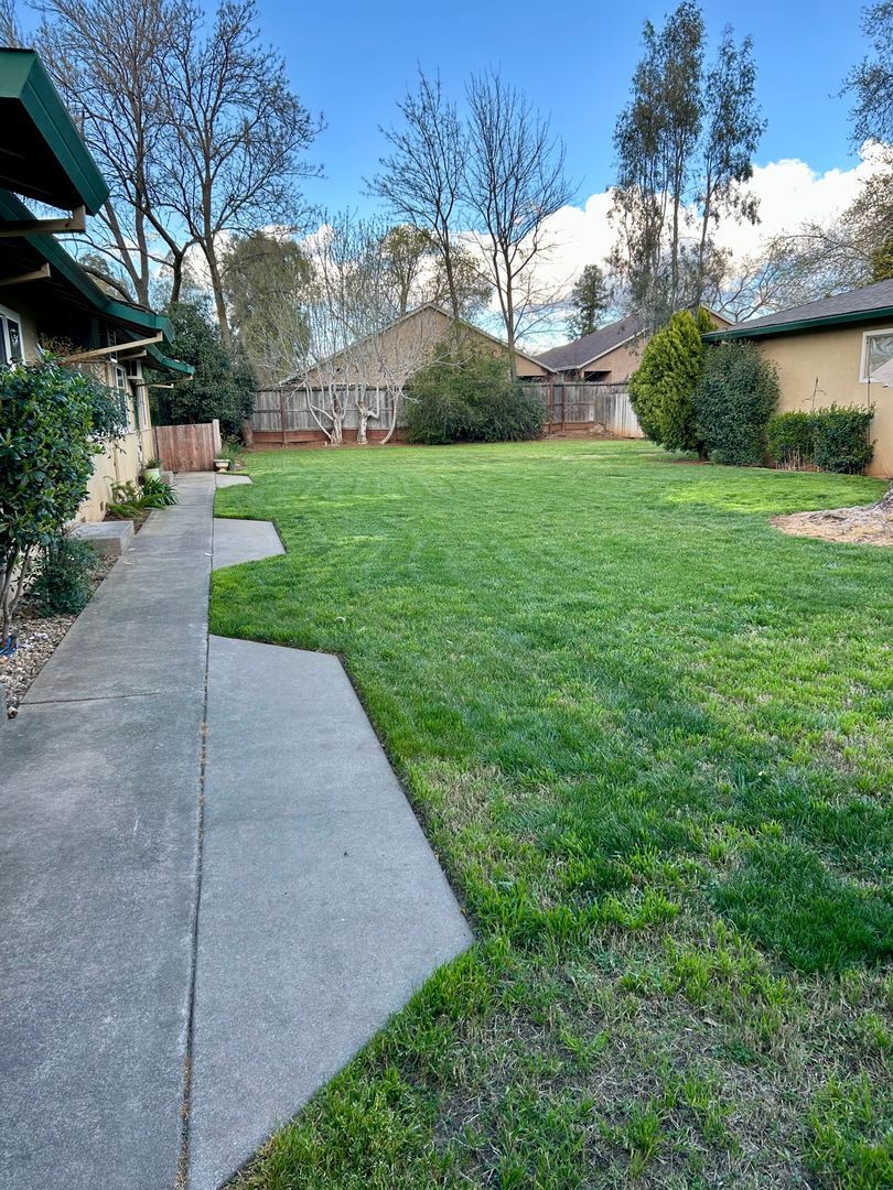 Chico Multiplex: 2423 Mariposa Ave