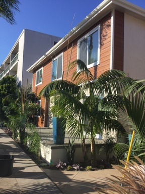 Live Like a Star in this Contemporary Belmont Shore Apartment – photo 1