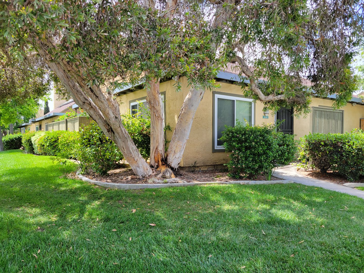 Mira Mesa House: 10560 Greenford Dr.