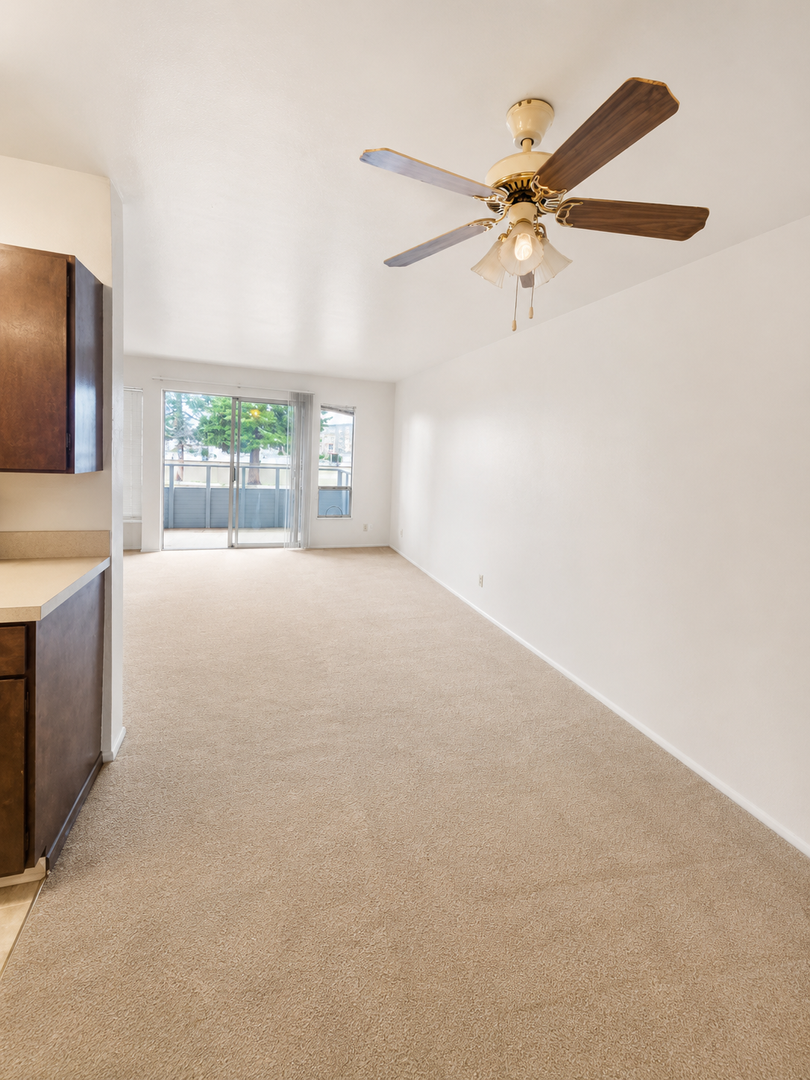 Renton Apartment: 1064 Kirkland Ave NE