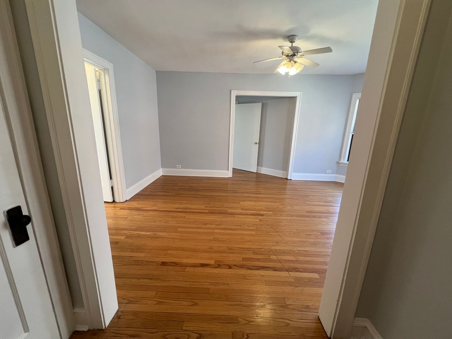 Evanston Apartment: 2121 Ridge Ave