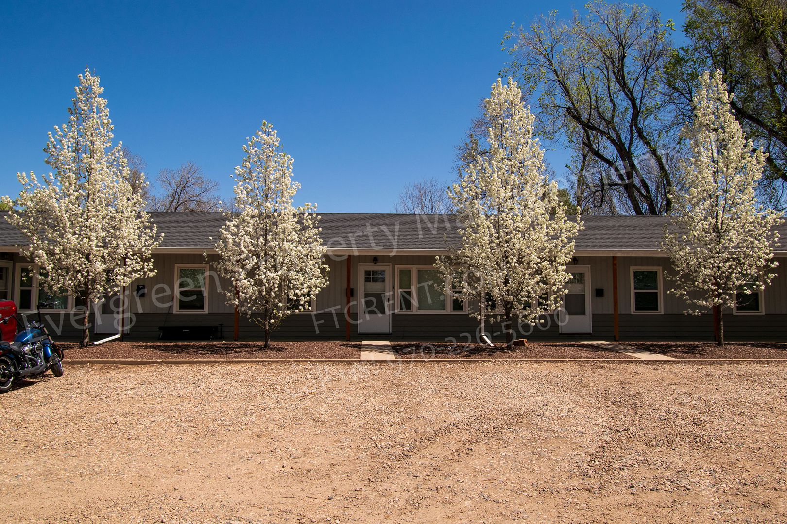Fort Collins Apartment: 207 E Stuart St.
