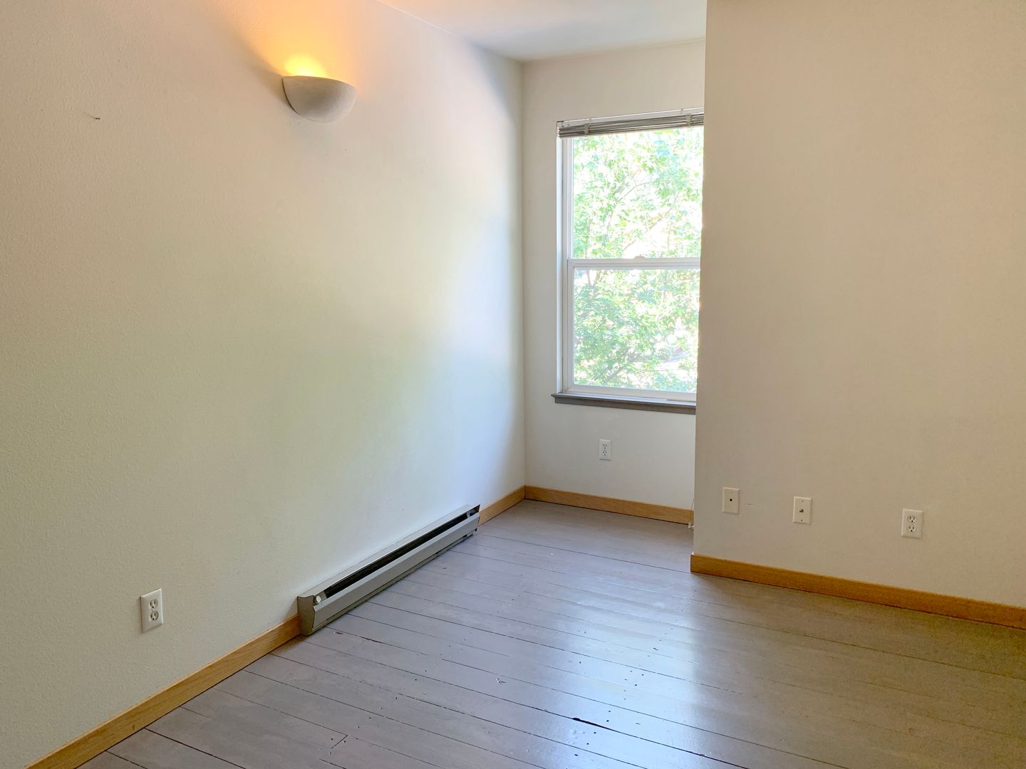 Fort Collins Apartment: 209 W Mulberry St