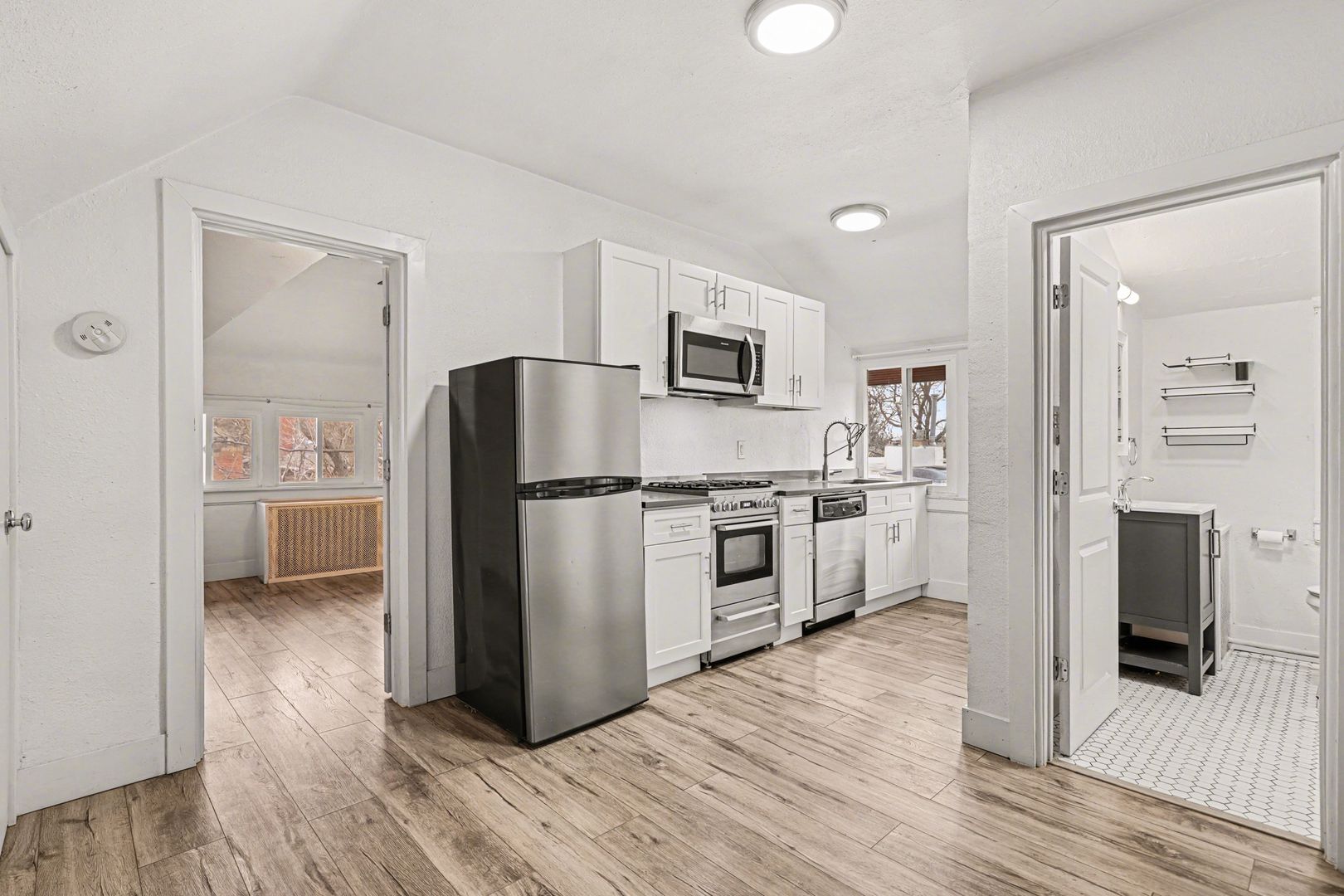 Denver Apartment: 1159 N. Corona St.