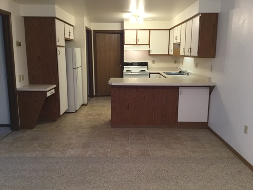 Lower With Fireplace